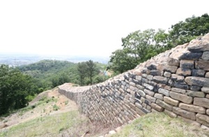b65.jpg