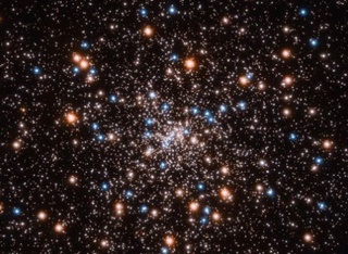d736.jpg